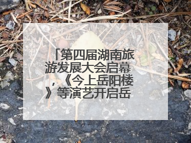 第四届湖南旅游发展大会启幕，《今上岳阳楼》等演艺开启岳阳文旅新场景