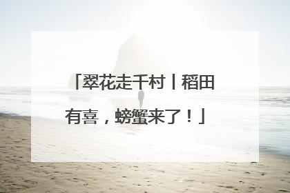 翠花走千村丨稻田有喜，螃蟹来了！