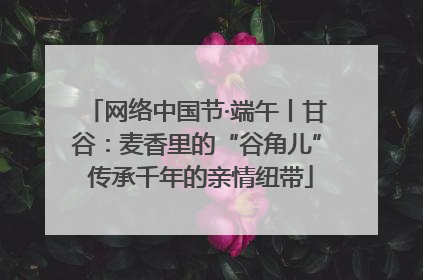 网络中国节·端午丨甘谷：麦香里的“谷角儿” 传承千年的亲情纽带