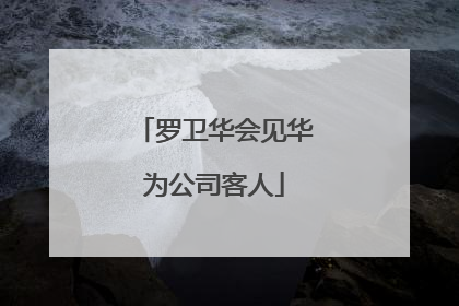 罗卫华会见华为公司客人