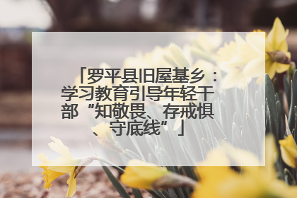 罗平县旧屋基乡：学习教育引导年轻干部“知敬畏、存戒惧、守底线”