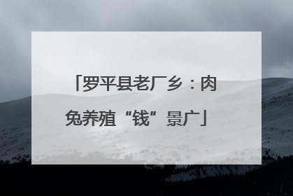 罗平县老厂乡：肉兔养殖“钱”景广
