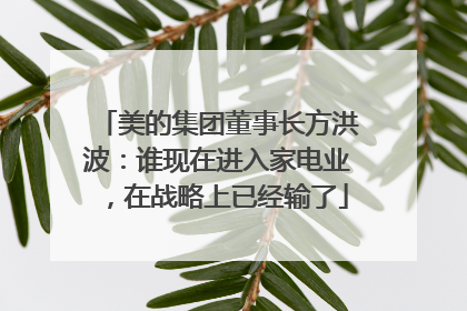 美的集团董事长方洪波：谁现在进入家电业，在战略上已经输了