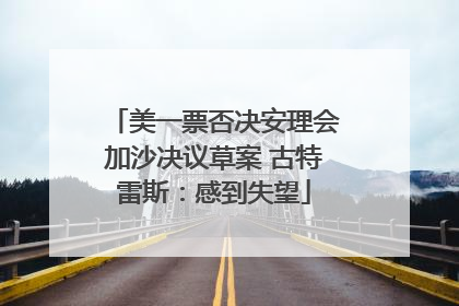 美一票否决安理会加沙决议草案 古特雷斯：感到失望