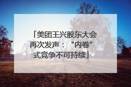 美团王兴股东大会再次发声：“内卷”式竞争不可持续