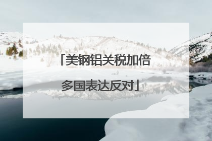 美钢铝关税加倍 多国表达反对