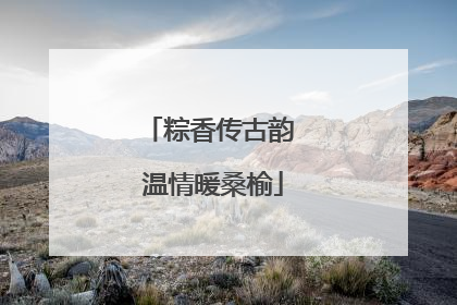 粽香传古韵 温情暖桑榆