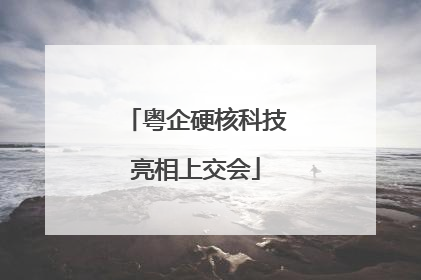 粤企硬核科技亮相上交会