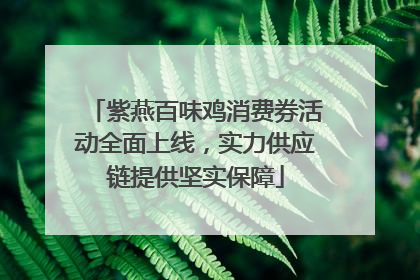 紫燕百味鸡消费券活动全面上线，实力供应链提供坚实保障