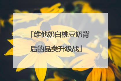 维他奶白桃豆奶背后的品类升级战