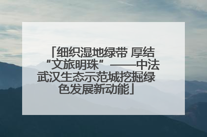 细织湿地绿带 厚结“文旅明珠”——中法武汉生态示范城挖掘绿色发展新动能