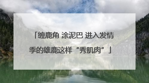 缠鹿角 涂泥巴 进入发情季的雄鹿这样“秀肌肉”