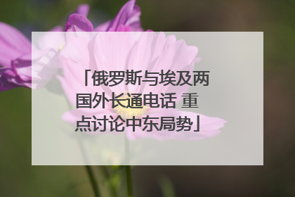 俄罗斯与埃及两国外长通电话 重点讨论中东局势