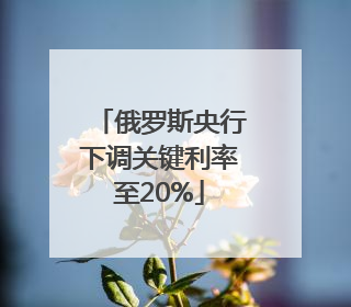 俄罗斯央行下调关键利率至20%