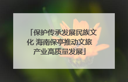 保护传承发展民族文化 海南保亭推动文旅产业高质量发展