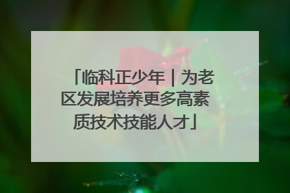 临科正少年｜为老区发展培养更多高素质技术技能人才