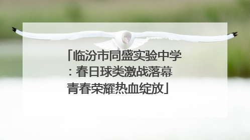 临汾市同盛实验中学：春日球类激战落幕 青春荣耀热血绽放