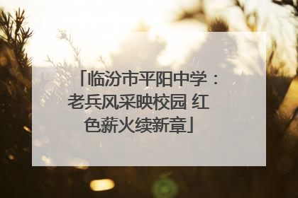 临汾市平阳中学：老兵风采映校园 红色薪火续新章