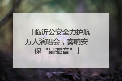 临沂公安全力护航万人演唱会，奏响安保“最强音”
