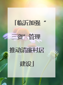临沂加强“三资”管理 推动清廉村居建设