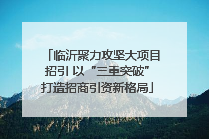 临沂聚力攻坚大项目招引 以“三重突破”打造招商引资新格局