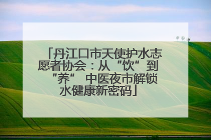 丹江口市天使护水志愿者协会：从“饮”到“养” 中医夜市解锁水健康新密码