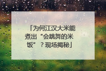 为何江汉大米能煮出“会跳舞的米饭”？现场揭秘