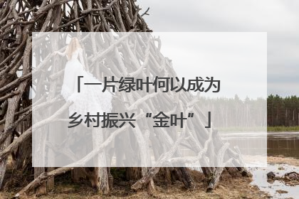 一片绿叶何以成为乡村振兴“金叶”