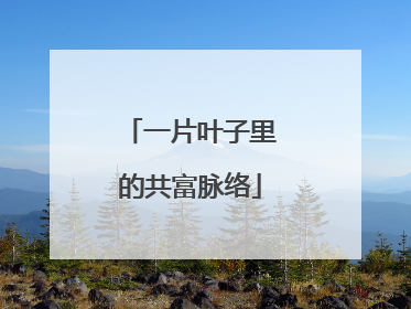 一片叶子里的共富脉络