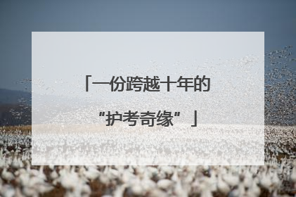 一份跨越十年的“护考奇缘”