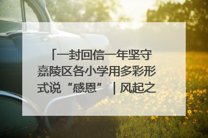 一封回信一年坚守 嘉陵区各小学用多彩形式说“感恩”｜风起之江 扶摇直上