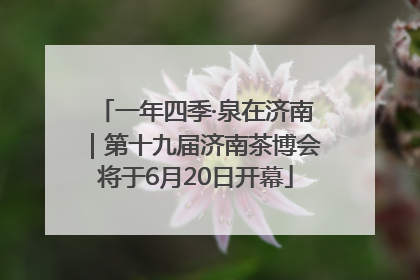 一年四季·泉在济南｜第十九届济南茶博会将于6月20日开幕