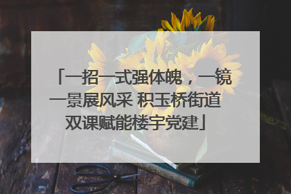 一招一式强体魄，一镜一景展风采 积玉桥街道双课赋能楼宇党建