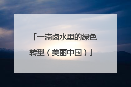 一滴卤水里的绿色转型（美丽中国）