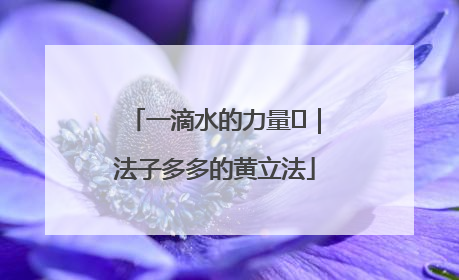 一滴水的力量⑬｜法子多多的黄立法