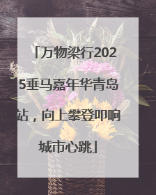 万物梁行2025垂马嘉年华青岛站，向上攀登叩响城市心跳
