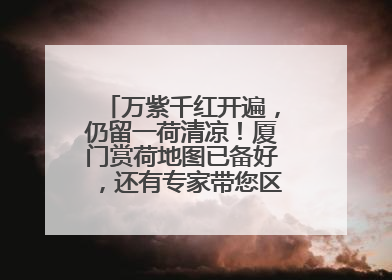 万紫千红开遍，仍留一荷清凉！厦门赏荷地图已备好，还有专家带您区分荷与莲→