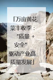 万亩黄花菜丰收季：“质量 + 安全” 驱动产业高质量发展