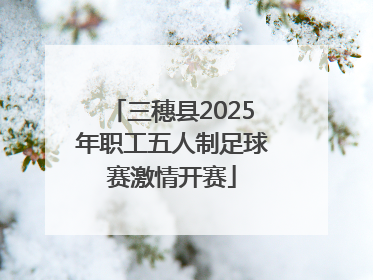 三穗县2025年职工五人制足球赛激情开赛