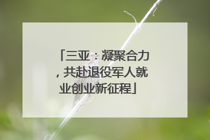 三亚：凝聚合力，共赴退役军人就业创业新征程
