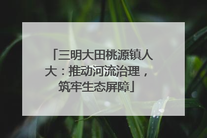 三明大田桃源镇人大：推动河流治理，筑牢生态屏障