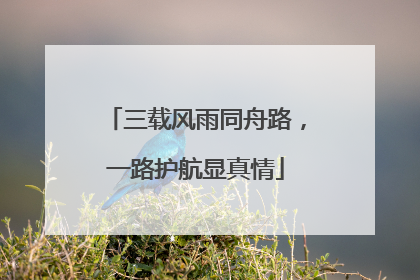三载风雨同舟路，一路护航显真情