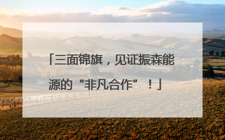 三面锦旗，见证振森能源的“非凡合作”！