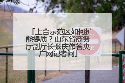 上合示范区如何扩能提质？山东省商务厅副厅长张庆伟答央广网记者问