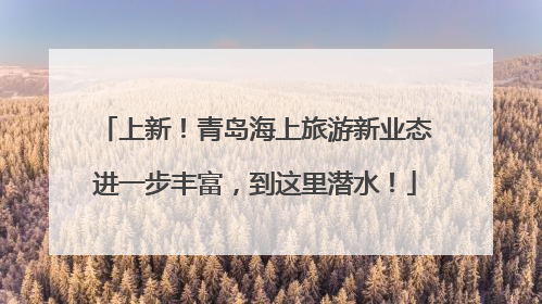上新！青岛海上旅游新业态进一步丰富，到这里潜水！