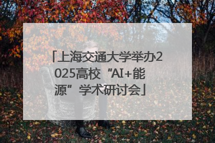 上海交通大学举办2025高校“AI+能源”学术研讨会