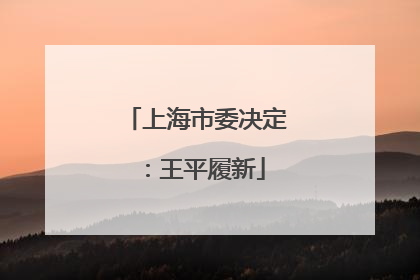 上海市委决定：王平履新