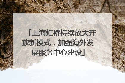 上海虹桥持续放大开放新模式，加强海外发展服务中心建设