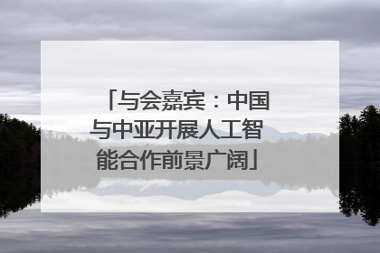 与会嘉宾：中国与中亚开展人工智能合作前景广阔