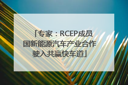 专家：RCEP成员国新能源汽车产业合作驶入共赢快车道